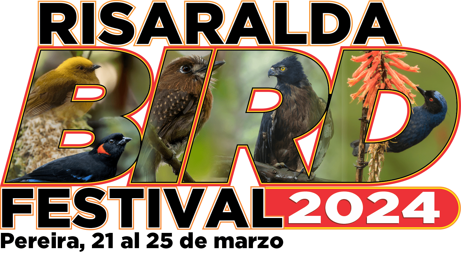 Risaralda Bird Festival – Risaralda Bird Festival